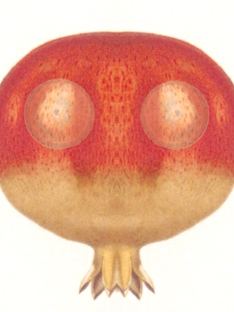 Steeped In Astonishment & The Aimlessness of the&nbsp;Wind