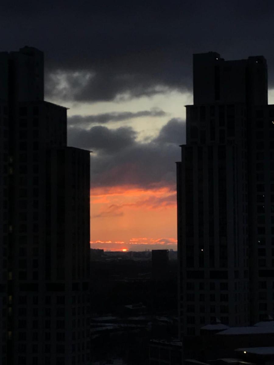 dead dad, still&nbsp;dead