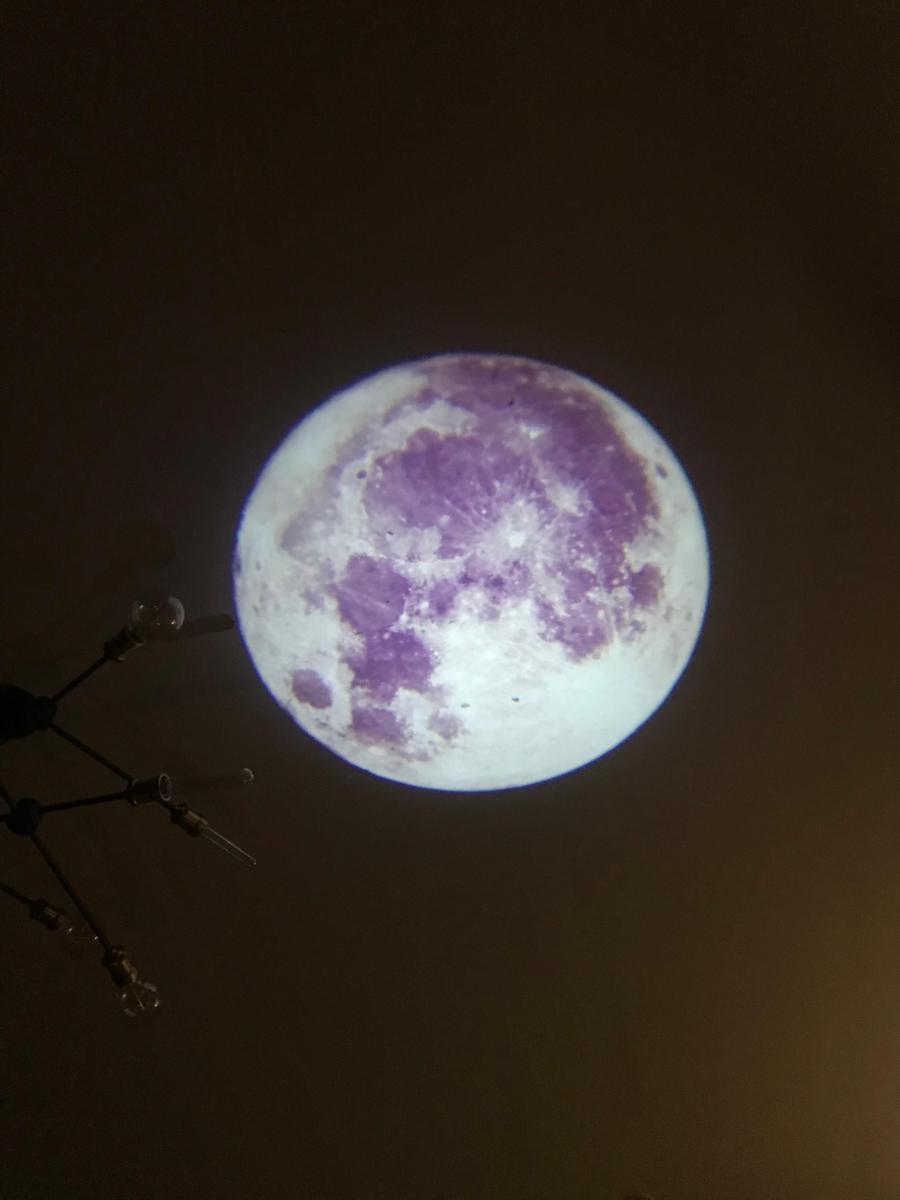 Angel of Highgate&nbsp;Cemetery